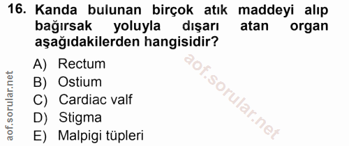 16. soru: Kanda bulunan birçok atık maddeyi alıp bağırsak yoluyla dışarı atan organ aşağıdakilerden hangisidir? A) Rectum B) Os…