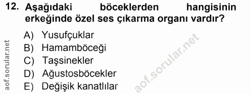 12. soru: Aşağıdaki böceklerden hangisinin erkeğinde özel ses çıkarma organı vardır? A) Yusufçuklar B) Hamamböceğı C) Taşsinekl…