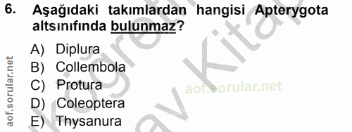 6. soru: Aşağıdaki takımlardan hangisi Apterygota altsınıfında bulunmaz? A) Diplura B) Collembola C) Protura aor. D) Coleopter…