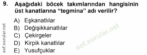 9. soru: Aşağıdaki böcek takımlarından hangisinin üst kanatlarına "tegmina" adı verilir? A) Eşkanatlılar B) Değişikkanatlılar…