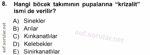 8. soru: Hangi böcek takımının pupalarına "krizalit" ismi de verilir? A) Sinekler B) Arılar C) Kınkanatlılar D) Kelebekler E)…