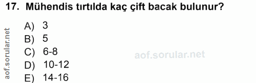 17. soru: Mühendis tırtılda kaç çift bacak bulunur? A) 3 B) 5 rula C) 6-8 aof.s D) 10-12 E) 14-16