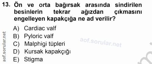 13. soru: Ön ve orta bağırsak arasında sindirilen besinlerin tekrar ağızdan Çıkmasını engelleyen kapakçığa ne ad verilir? A) Ca…