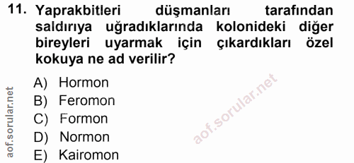 11. soru: Yaprakbitleri düşmanları tarafından saldırıya uğradıklarında kolonideki diğer bireyleri uyarmak için çıkardıkları öze…