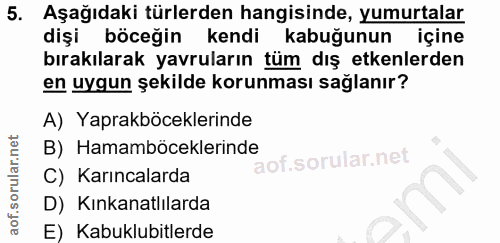 5. soru: Aşağıdaki türlerden hangisinde, yumurtalar dişi böceğin kendi kabuğunun içine bırakılarak yavruların tüm dış etkenler…