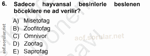 6. soru: Sadece hayvansal besinlerle beslenen böceklere ne ad verilir? A) Misetotag B) Zoofitofag C) Omnivor aof. so rular.net…