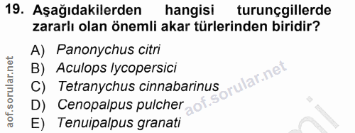 19. soru: Aşağıdakilerden hangisi turunçgillerde zararlı olan önemli akar türlerinden biridir? A) Panonychus citri B) Aculops l…