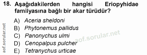 18. soru: Aşağıdakilerden hangisi Eriopyhidae familyasına bağlı bir akar türüdür? A) Aceria sheldoni B) Phytonemus pallidus D)…