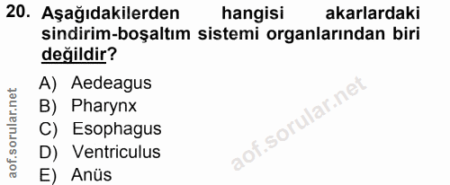 20. soru: Aşağıdakilerden hangisi akarlardaki sindirim-boşaltım sistemi organlarından biri değildir? A) Aedeagus B) Pharynx .so…
