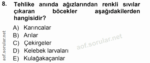 8. soru: Tehlike anında ağızlarından renkli sıvılar çıkaran böcekler aşağıdakilerden hangisidir? A) Karıncalar B) Arılar C) Çe…