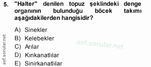 5. soru: "Halter" denilen topuz şeklindeki denge organının bulunduğu böcek takımı aşağıdakilerden hangisidir? A) Sinekler B) K…