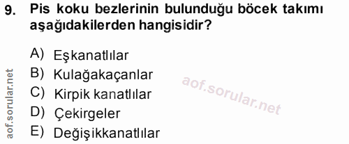 9. soru: Pis koku bezlerinin bulunduğu böcek takımı aşağıdakilerden hangisidir? A) Eşkanatlılar B) Kulağakaçanlar C) Kirpik ka…