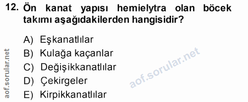12. soru: Ön kanat yapısı hemielytra olan böcek takımı aşağıdakilerden hangisidir? A) Eşkanatlılar B) Kulağa kaçanlar C) Değişi…