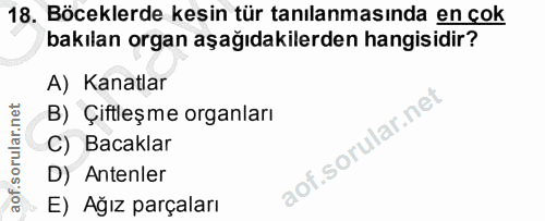 18. soru: Böceklerde kesin tür tanılanmasında en cok bakılan organ aşağıdakilerden hangisidir? A) Kanatlar B) Çiftleşme organla…