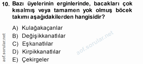 10. soru: Bazı üyelerinin erginlerinde, bacakları çok kısalmış veya tamamen yok olmuş böcek takımı aşağıdakilerden hangisidir?…