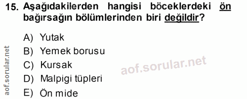 15. soru: Aşağıdakilerden hangisi böceklerdeki ön bağırsağın bölümlerinden biri değildir? A) Yutak B) Yemek borusu C) Kursak D)…