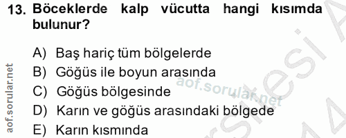 13. soru: Böceklerde kalp vücutta hangi kısımda bulunur? A) Baş hariç tüm bölgelerde B) Göğüs ile boyun arasında C) Göğüs bölge…