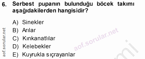 6. soru: Serbest puanın bulunduğu böcek takımı aşağıdakilerden hangisidir? A) Sinekler B) Arılar C) Kınkanatlılar D) Kelebekle…