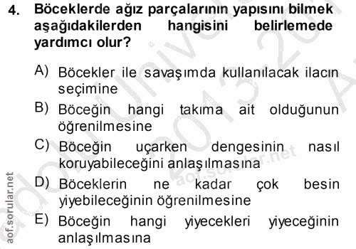 4. soru: Böceklerde ağız parçalarının yapısını bilmek aşağıdakilerden hangisini belirlemede yardımcı olur? A) Böcekler ile sav…