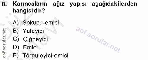 8. soru: Karıncaların ağız yapısı aşağıdakilerden hangisidir? A) Sokucu-emici B) Yalayıcı C) Çiğneyici D) Emici E) Törpüleyici…