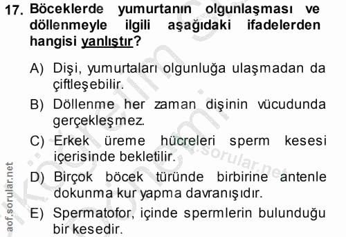 17. soru: Böceklerde yumurtanın olgunlaşması ve döllenmeyle ilgili aşağıdaki ifadelerden hangisi yanlıştır? A) Dişi, yumurtalar…