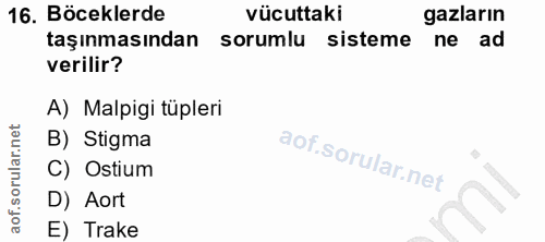 16. soru: Böceklerde vücuttaki gazların taşınmasından sorumlu sisteme ne ad verilir? A) Malpigi tüpleri B) Stigma C) Ostium D)…