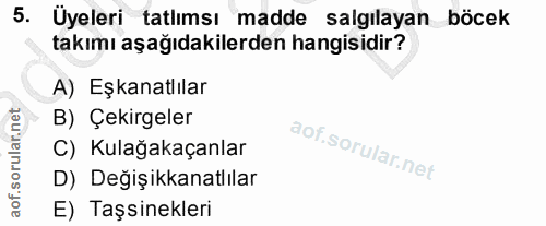 5. soru: Üyeleri tatlımsı madde salgılayan böcek takımı aşağıdakilerden hangisidir? A) Eşkanatlılar B) Çekirgeler C) Kulağakaç…