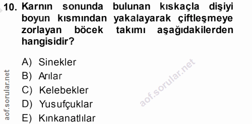 10. soru: Karnın sonunda bulunan kıskaçla dişiyi boyun kısmından yakalayarak çiftleşmeye zorlayan böcek takımı aşağıdakilerden…