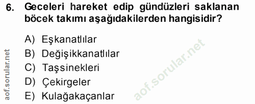 6. soru: Geceleri hareket edip gündüzleri saklanan böcek takımı aşağıdakilerden hangisidir? A) Eşkanatlılar B) Değişikkanatlıl…