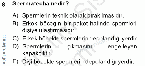 8. soru: Spermatecha nedir? A) Spermlerin teknik olarak bırakılmasıdır. B) Erkek böceğin bir paket halinde spermleri dişiye ul…