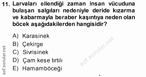 11. soru: Larvaları ellendiği zaman insan vücuduna bulaşan salgıları nedeniyle deride kızarma ve kabarmayla beraber kaşıntıya n…