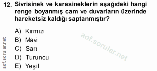 12. soru: Sivrisinek ve karasineklerin aşağıdaki hangi renge boyanmış cam ve duvarların üzerinde hareketsiz kaldığı saptanmıştı…