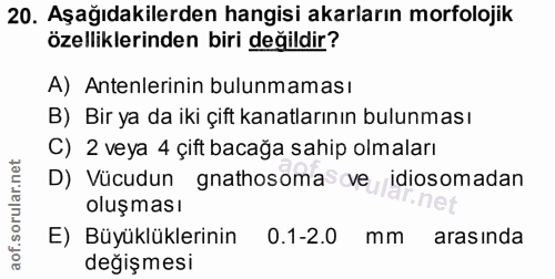 20. soru: Aşağıdakilerden hangisi akarların morfolojik özelliklerinden biri değildir? A) Antenlerinin bulunmaması B) Bir ya da…