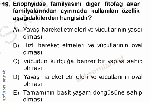 19. soru: Eriophyidae familyasını diğer fitofag akar familyalarından ayırmada kullanılan özellik aşağıdakilerden hangisidir? A)…
