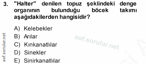 3. soru: "Halter" denilen topuz şeklindeki denge organının bulunduğu böcek takımı aşağıdakilerden hangisidir? A) Kelebekler B)…