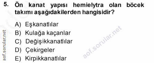 5. soru: Ön kanat yapısı hemielytra olan böcek takımı aşağıdakilerden hangisidir? A) Eşkanatlılar B) Kulağa kaçanlar lof. C) D…
