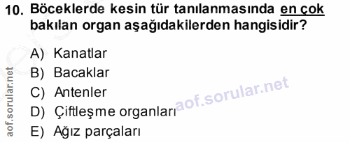 10. soru: Böceklerde kesin tür tanılanmasında en çok bakılan organ aşağıdakilerden hangisidir? A) Kanatlar B) Bacaklar D) Çiftl…