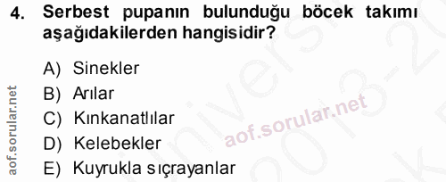 4. soru: Serbest puanın bulunduğu böcek takımı aşağıdakilerden hangisidir? A) Sinekler B) Arilar C) Kınkanatlılar D) Kelebekle…