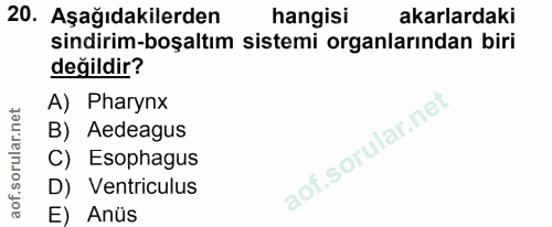 20. soru: Aşağıdakilerden hangisi akarlardaki sindirim-boşaltım sistemi organlarından biri değildir? A) Pharynx B) Aedeagus C)…