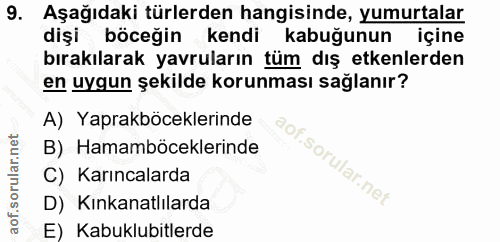 9. soru: Aşağıdaki türlerden hangisinde, yumurtalar dişi böceğin kendi kabuğunun içine bırakılarak yavruların tüm dış etkenler…