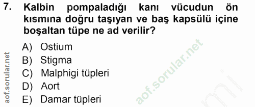 7. soru: Kalbin pompaladiğı kanı vücudun ön kısmına doğru taşıyan ve baş kapsülü içine boşaltan tüpe ne ad verilir? A) Ostium…