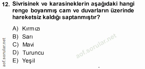 12. soru: Sivrisinek ve karasineklerin aşağıdaki hangi renge boyanmış cam ve duvarların üzerinde hareketsiz kaldığı saptanmıştı…