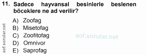 11. soru: Sadece hayvansal besinlerle beslenen böceklere ne ad verilir? A) Zoofag B) Misetofag C) Zoofitofag D) ' Omnivor E) Sa…