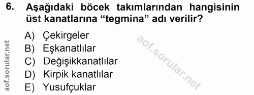 6. soru: Aşağıdaki böcek takımlarından hangisinin üst kanatlarına "tegmina" adı verilir? A) Çekirgeler B) Eşkanatlılar C) Değı…