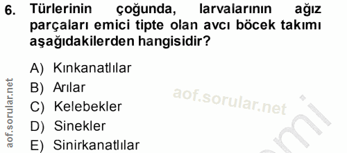 6. soru: Türlerinin çoğunda, larvalarının ağız parçaları emici tipte olan avcı böcek takımı aşağıdakilerden hangisidir? A) Kın…