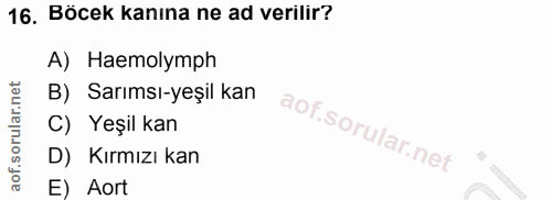 16. soru: Böcek kanına ne ad verilir? A) Haemolymph B) Sarımsı-yeşil kan C) Yeşil kan D) Kırmızı kan E) Aort