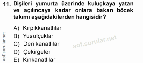11. soru: Dişileri yumurta üzerinde kuluçkaya yatan ve açılıncaya kadar onlara bakan böcek takımı aşağıdakilerden hangisidir? A…