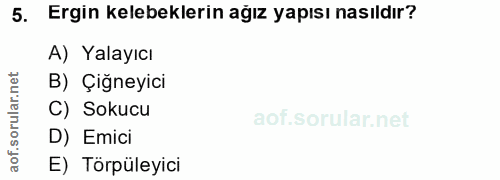 5. soru: Ergin kelebeklerin ağız yapısı nasıldır? A) Yalayıcı rular.net B) Çiğneyici C) Sokucu aof.so D) Emici E) Törpüleyici