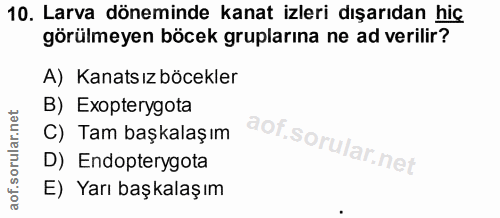 10. soru: Larva döneminde kanat izleri dışarıdan hiç görülmeyen böcek gruplarına ne ad verilir? A) Kanatsız böcekler B) Exopter…