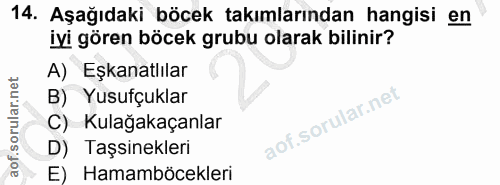 14. soru: Aşağıdaki böcek takımlarından hangisi en iyi gören böcek grubu olarak bilinir? A) Eşkanatlılar B) Yusufçuklar C) Kula…